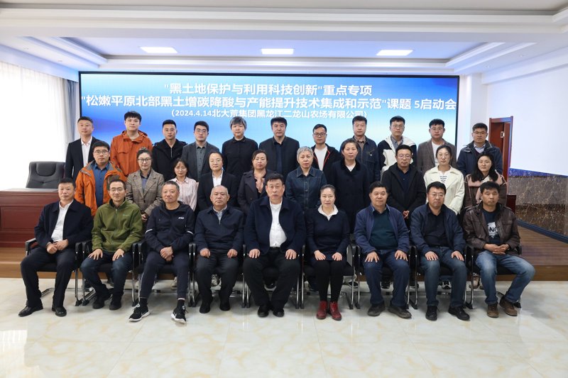 系统集成：构建企业信息化大厦的基石